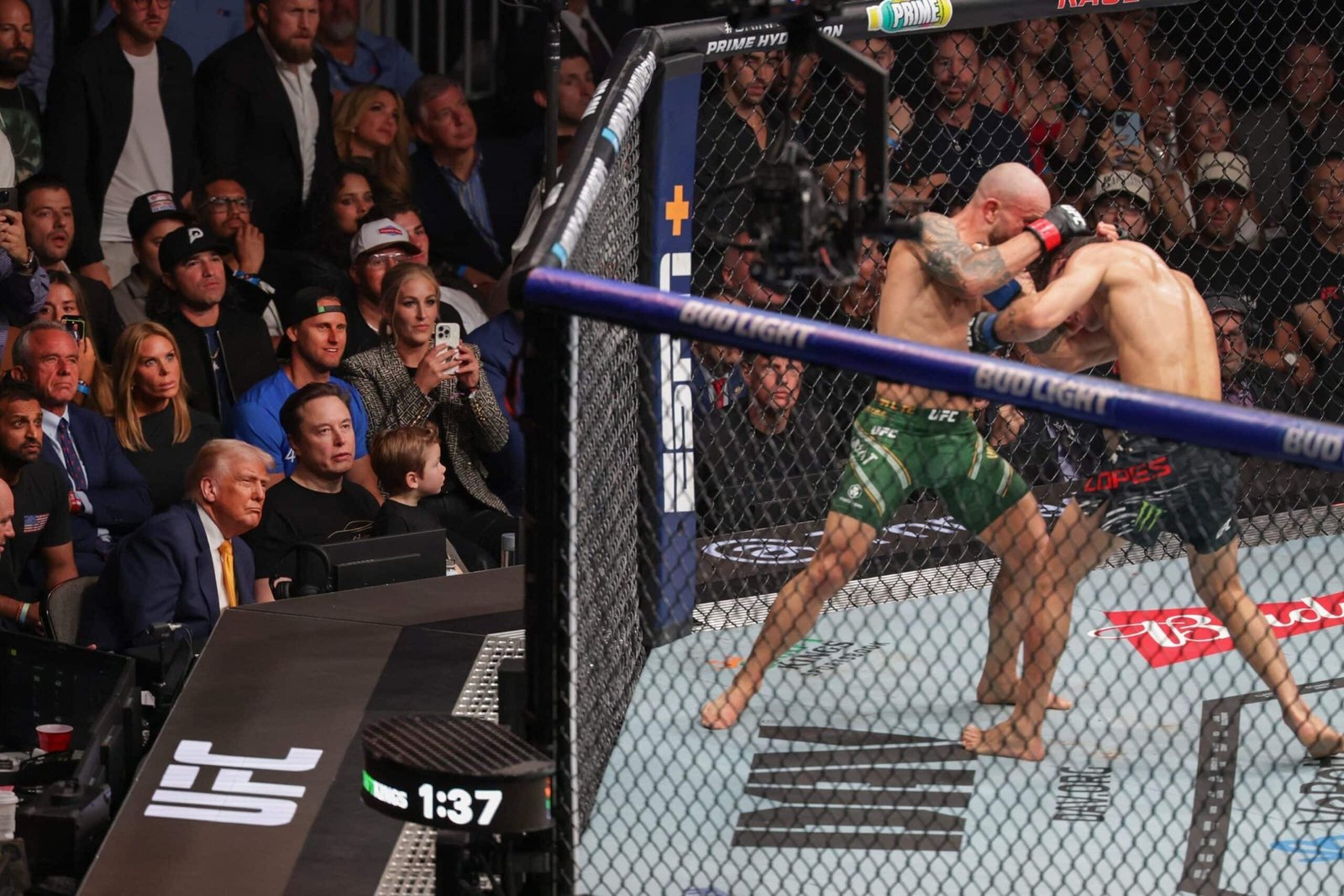 Trump proposes the UFC fight on the land of the White House for us 250 celebration